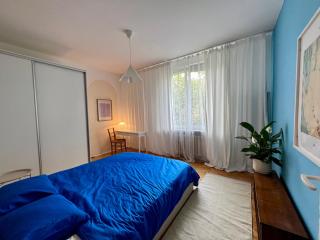 Duże, słoneczne i spokojne dwupokojowe mieszkanie w centrum miasta - 2