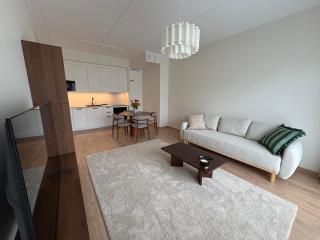 Brand new cozy stay in Pärnu - Pärnu - 8