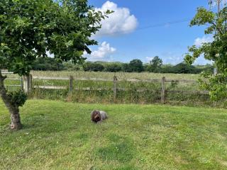 Swallows Retreat - Fordingbridge - 4