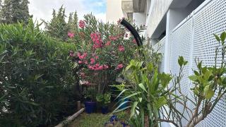 Maria Luisa Beach -Amaral's Guesthouses - 2