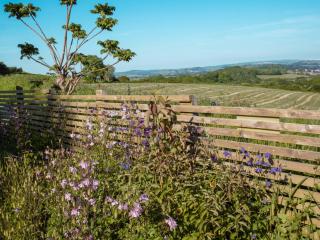 1 Bed in Bridport 94154 - Chideock - 1