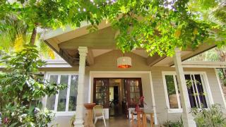 Tree Nature Resort - 3