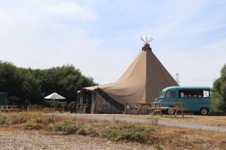 The Hide - Warmwell - 9