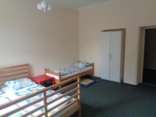 Hotel U Lázní - ubytování pro nenáročné - Ostrožská Nová Ves - 7