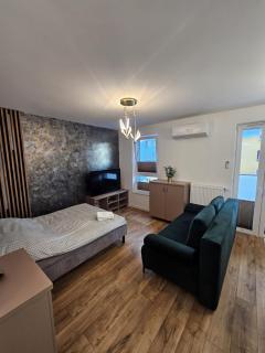 LUXURY APARTMENTS WILCZA 8 by Marta klimatyzacja - Radom - 4