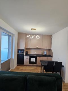 LUXURY APARTMENTS WILCZA 8 by Marta klimatyzacja - Radom - 7