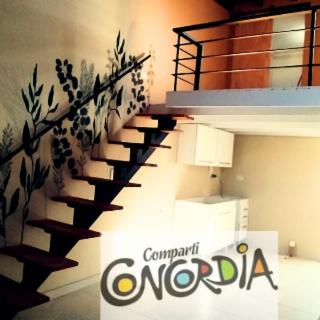 DeptoNorte - Concordia - 1