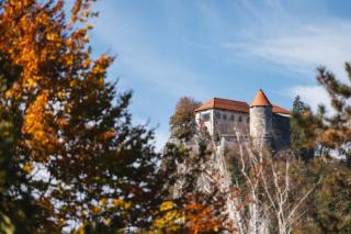 Slovenian Green Apartment - 2