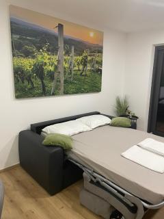 Apartments 5KA - Modern Comfort 5 minutes from Highway - Velika Loka - 8