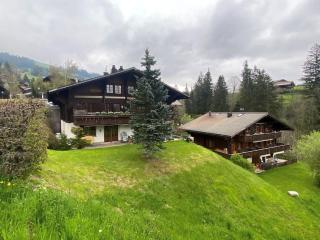 Amazing Villa in Gstaad - 0