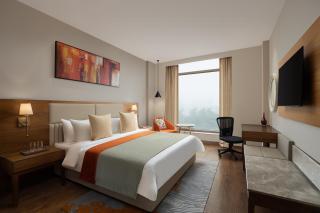 Fortune Park, East Delhi - Member ITC Hotels' Group - Neu-Delhi - 7