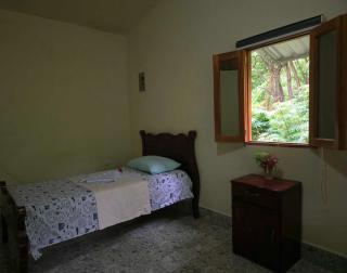 The Jungle - 2