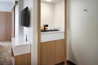SpringHill Suites by Marriott Ellijay - 3