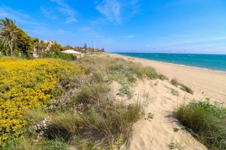 Los Monteros Palm Beach with garden - 5