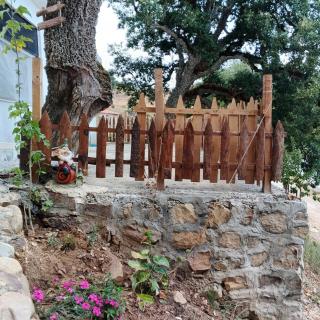DarAlRayhan - 7