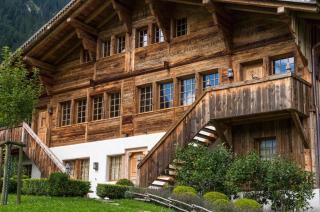 Elegant Alpine Chalet with Spa - Lauenen - 9