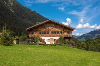 Elegant Alpine Chalet with Spa - 0