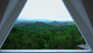 Thottom Stays Vagamon - 1