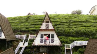 Thottom Stays Vagamon - 8