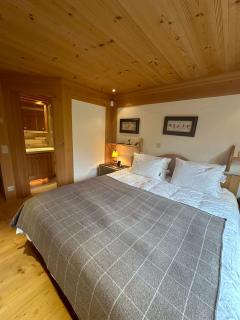 Luxurious Alpine Getaway at Park Hotel Gstaad - Gstaad - 8