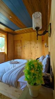 Lime wood - Neelam - 6