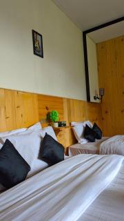 Lime wood - 5