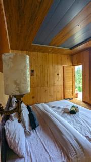 Lime wood - Neelam - 3