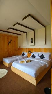 Lime wood - 1