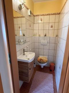 Das kleine Vulkanhaus - Daun - 3