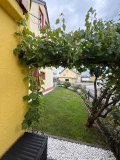 Das kleine Vulkanhaus - Daun - 2