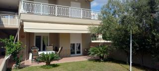 Palm Garden apartment - Nikiti - 9