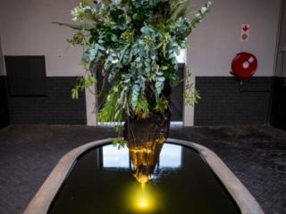 Rhone Hill Polo Club - 4