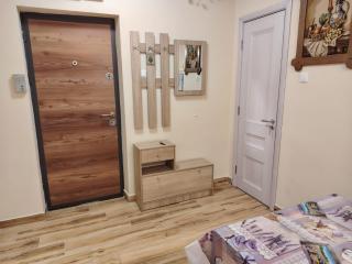 Apartament Confort Dambul Pietros Targu-Mures - Târgu Mureș - 8