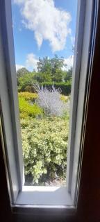 Ballade a la lune chalet 2 pers jardin - 3