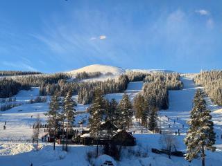 Trysil Alpine Lodge - 510 - 2