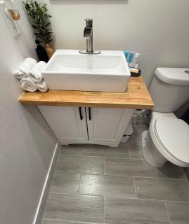 Luxury apartments - Tampa - 4