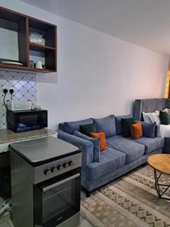 Affordable Studio Apartment Kasarani, Seasons Road - 6