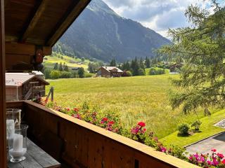 Newly Renovated APT in Wispile Near the Park Hotel - Gstaad - 9