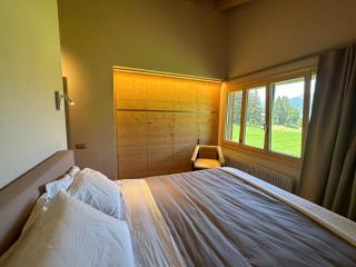 Newly Renovated APT in Wispile Near the Park Hotel - Gstaad - 2