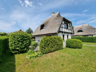 Reetdachhaus in Goos - 5