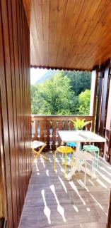 Campanules 2 - Duplex - 7 p - Balcon - Nature - 9