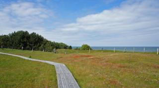 Reetdachhaus in Goos - 4