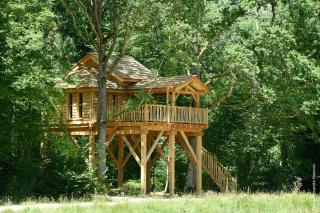 La Cabane de l'Etang - La Bussière - 9