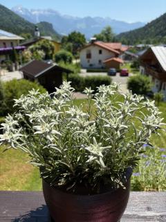 Ferienwohnung Klausgraben - 4