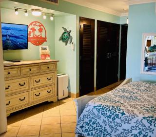 C206 - Sapphire Beach - Sapphire Jewel VI - - 5