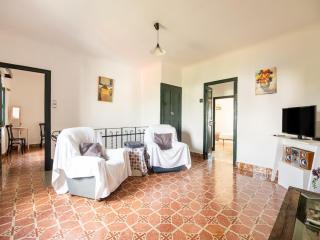 Mansion in St Martí with Vineyards & Garden - San Martín Sarroca - 1