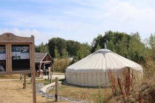 Stonehaven - Warmwell - 8