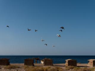 Natural Lodge - Dahab - 9