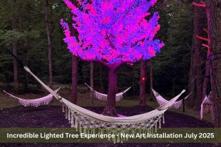 Enchanted Forest Cabin And Teepee! Lights & Laser Show! Private Hot Tub! Unique Stay! - Sevierville - 7