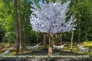 Enchanted Forest Cabin And Teepee! Lights & Laser Show! Private Hot Tub! Unique Stay! - 2